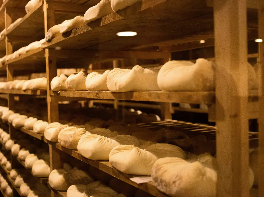 Interior de bodega de quesos en Utiel-Requena