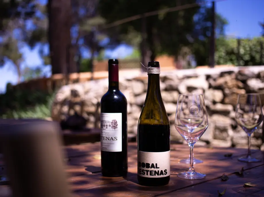 Botellas de vino preparadas para cata en Utiel-Requena