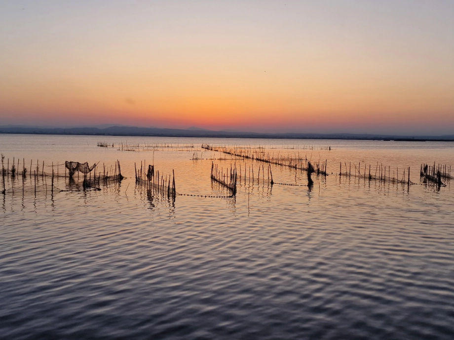 natural-park-albufera_10