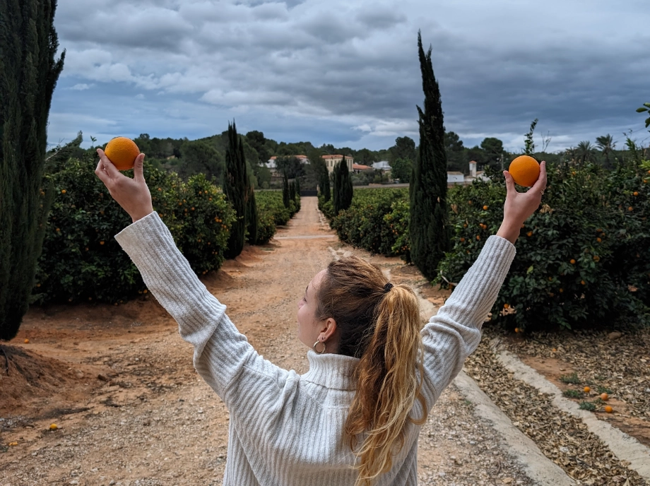 Recorrido por el jardín y huerto de naranjas