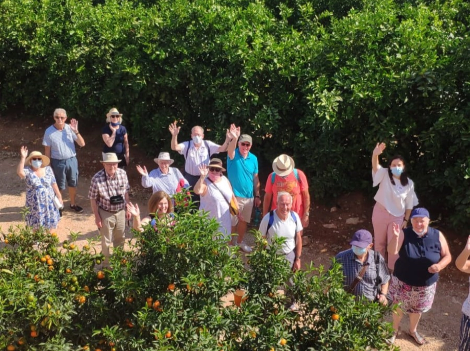 Recorrido por el huerto de naranjas