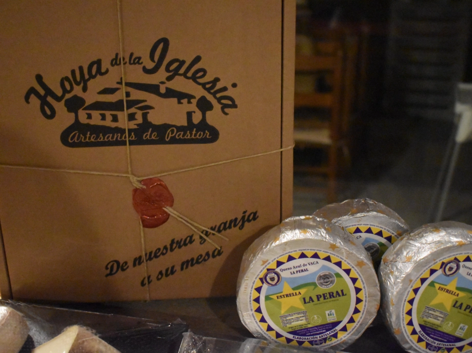 Experience with cheese tasting at the cheese factory in Utiel-Requena