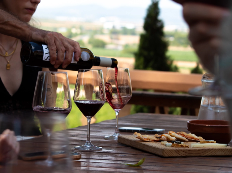 Experience with tasting at the cheese factory in Utiel-Requena