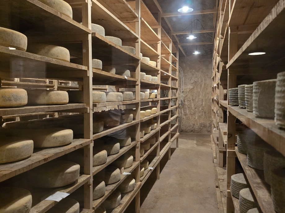 Tour of the cheese factory in Utiel-Requena